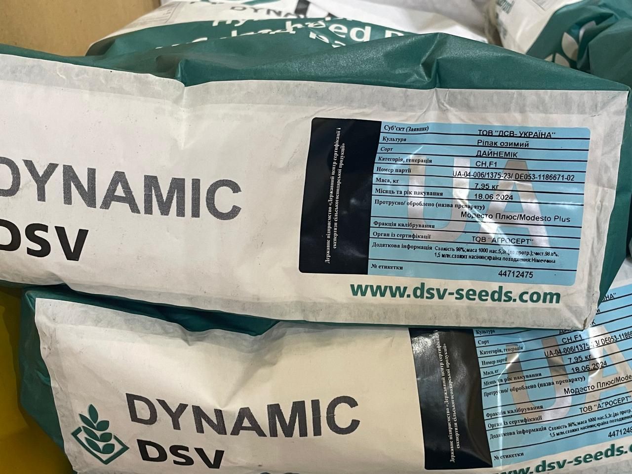 Ріпак озимий дайнемік DSV