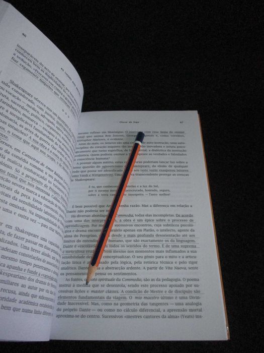 Livro As Lições dos Mestres George Steiner