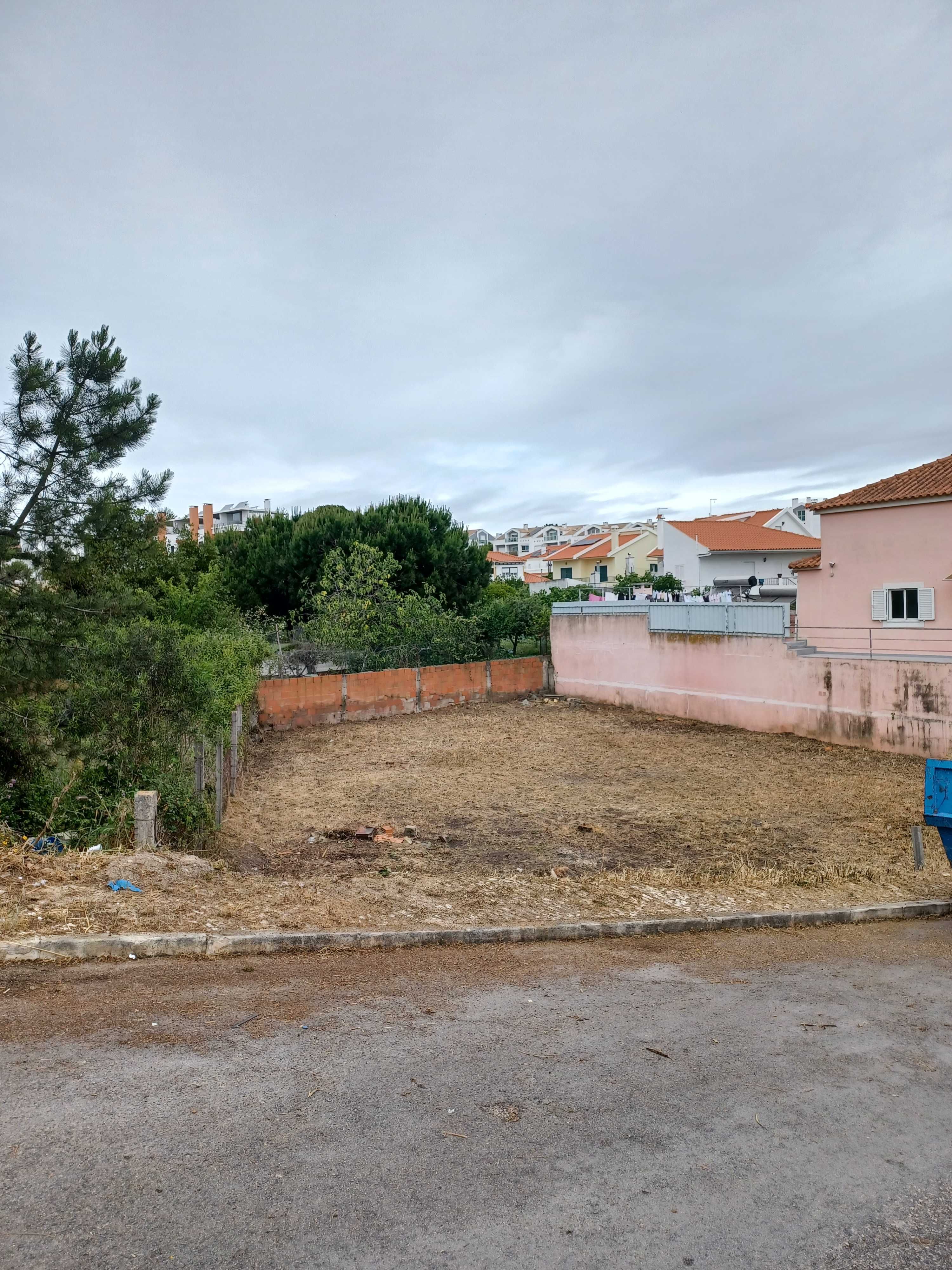 Serviços de jardinagem