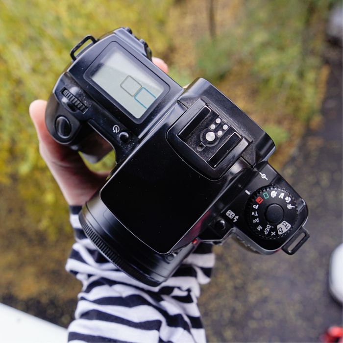 Плівковий Canon EOS 5