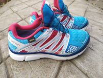 Кросівки Salomon 40-40.5