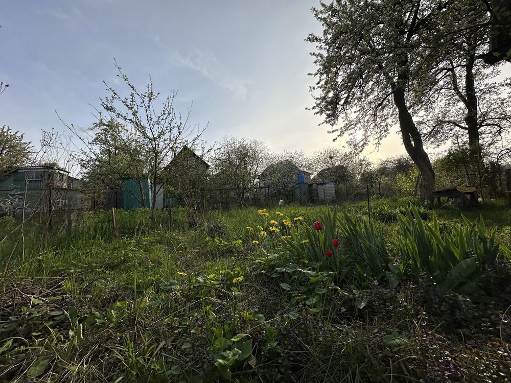 Продаж дачі в СТ Роднік