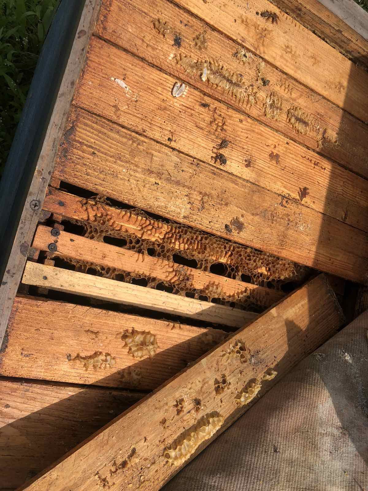 Улики лежаки для пчел