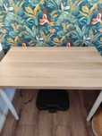 LINNMON BLAT 100/60cm  ( bez nóg!)