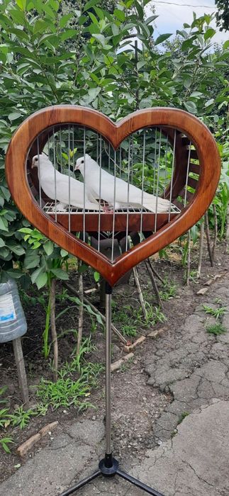 Продам клетку для Голубей на свадьбу