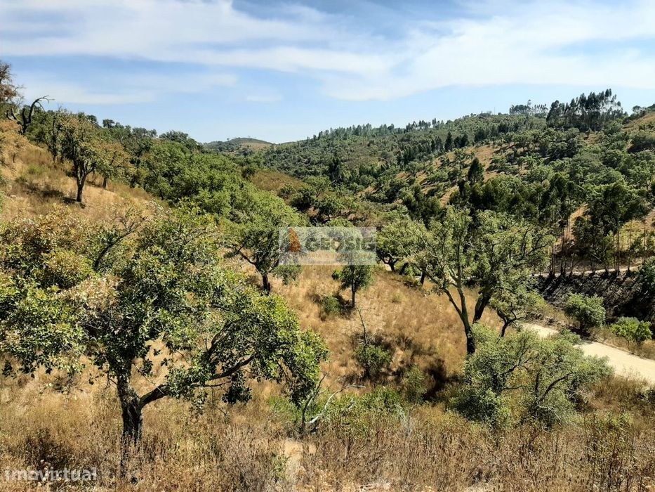 Terreno Rústico  Venda em Santa Clara-a-Nova e Gomes Aires,Almodôvar