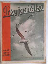 PRZYJACIÓŁKA 12 / 1957 okładka - białoskrzydłe mewy