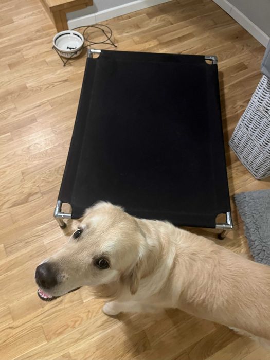 Fly Bed posłanie dla psa