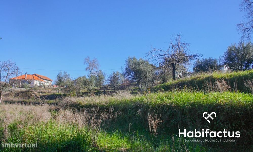 Terreno com viabilidade de construção - Oliveira do Hospital