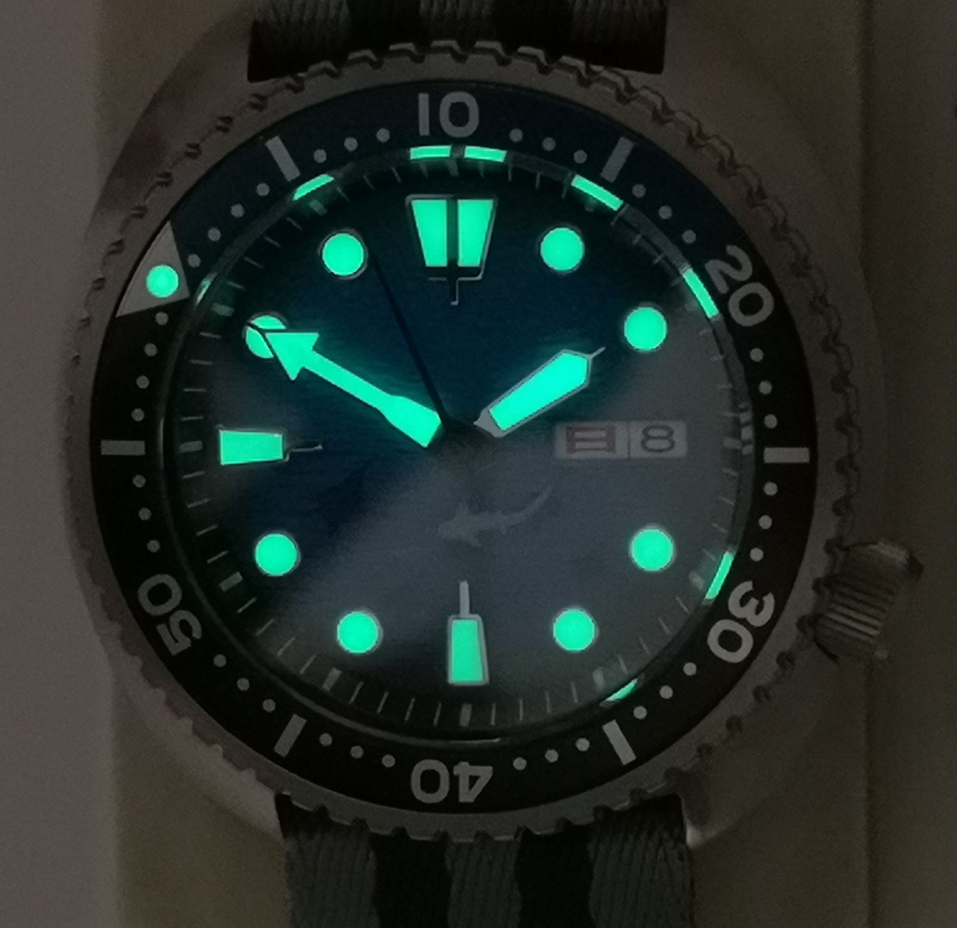 Zegarek custom King Turtle/Manta Ray Save The Ocean/Titanium/Automatic