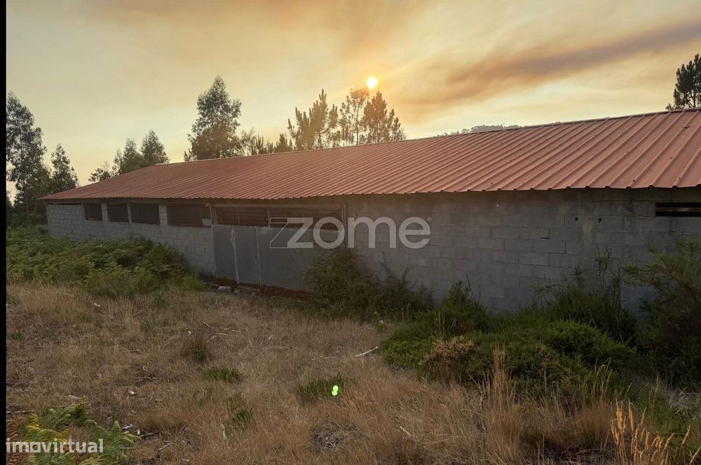 Terreno Rústico em Terras de Bouro