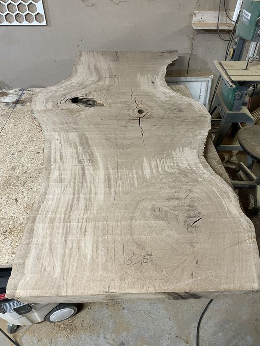 Monolit Dębu 6,5cm grubosci