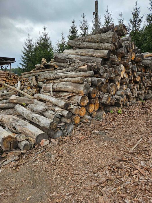 Drewno opałowe - dębina