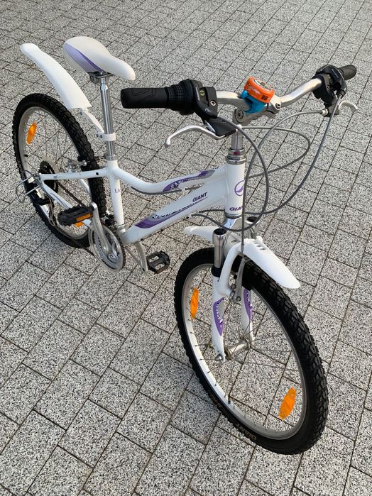 Rower dziecięcy Giant 24’’