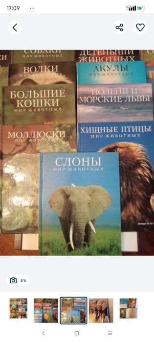 Большие книги о животных
