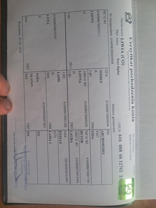 Sprzedam klacz ……