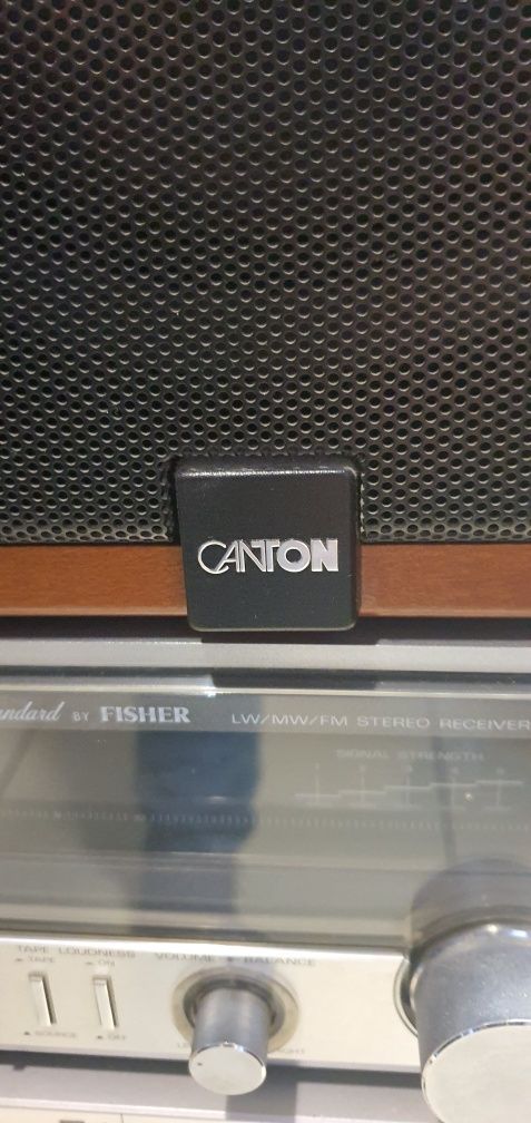 Kolumny CANTON Ergo 22 DC
