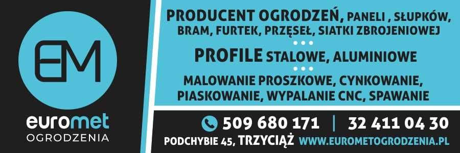 Ogrodzenie panelowe 4mm 123cm malowane 100mb wysyłka Polska