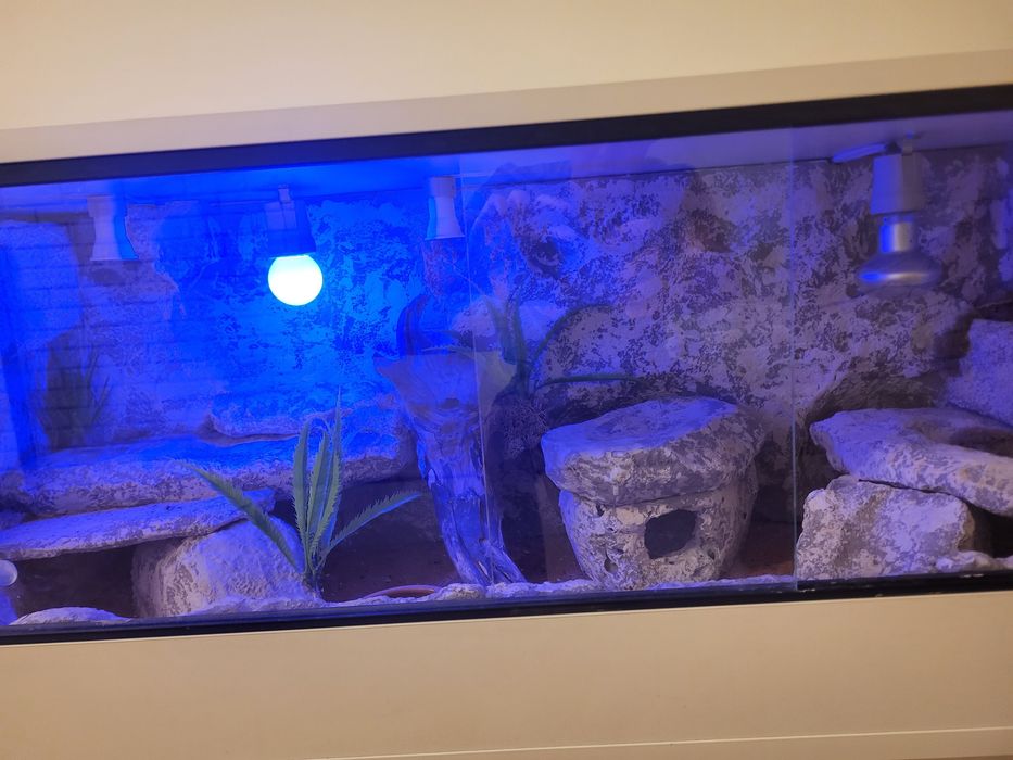 Terrarium dla gekona