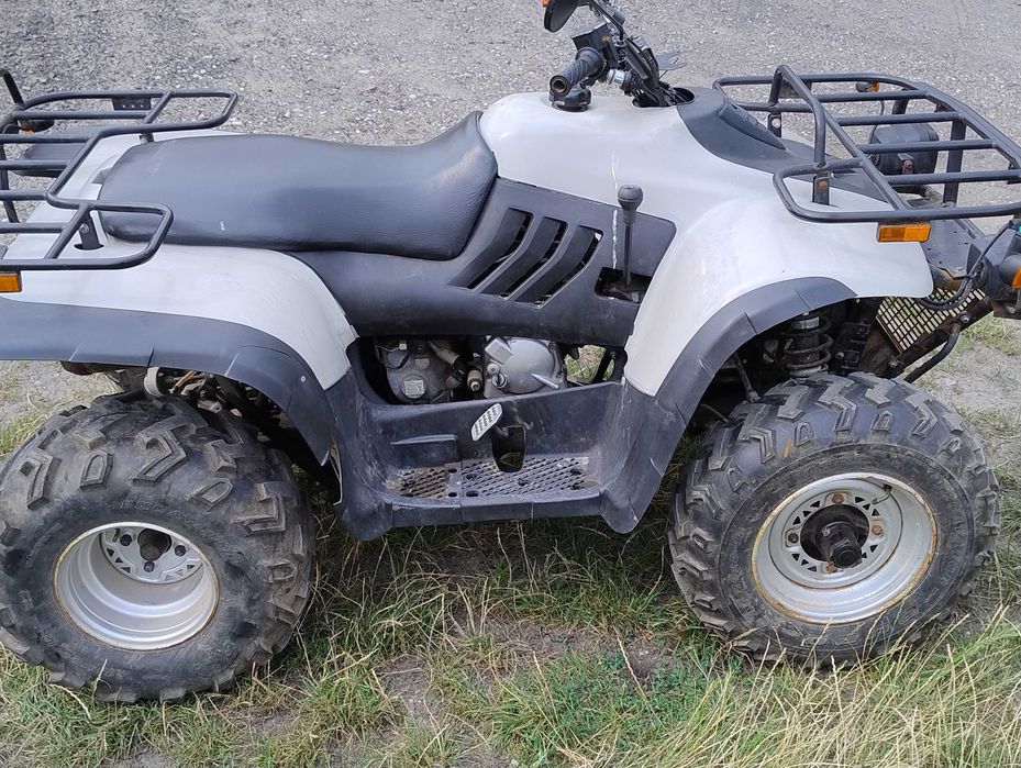 Linhai 300 dok Kymco Hom Tgb Access Sym Aeon Dinli Quad Kayo inny L7E