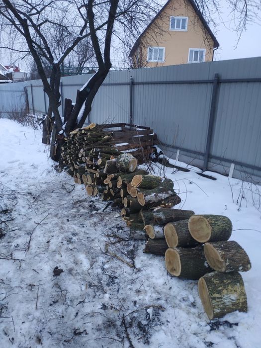 Спилювання дерев, корчування пеньків та інші роботи в саду