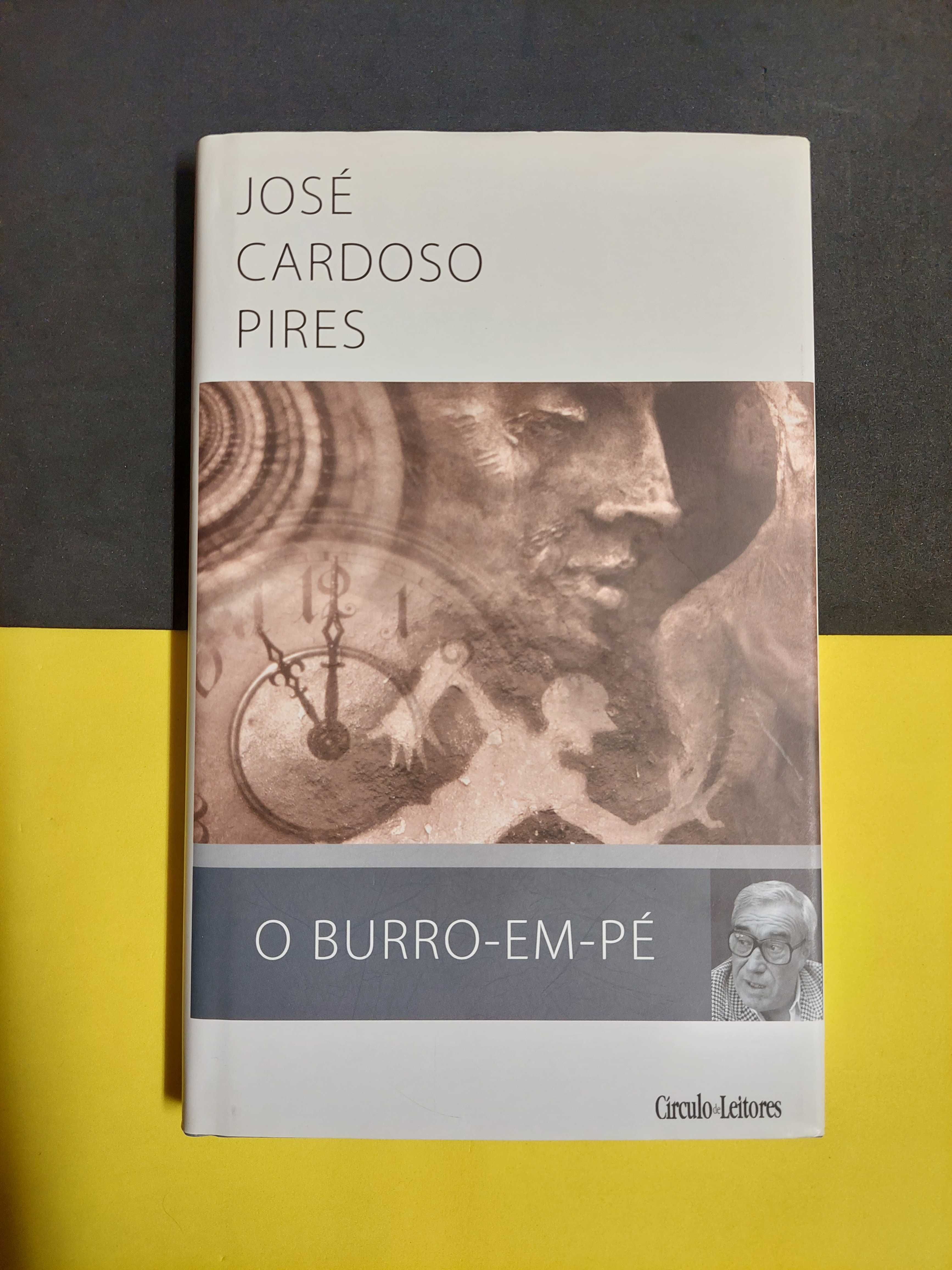 José Pires Cardoso - O burro-em-pé