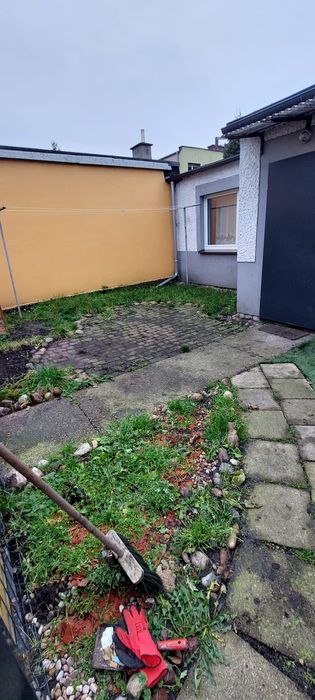 Mieszkanie do wynajęcia