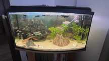Alwarium 100 x50x30 zaokraglone