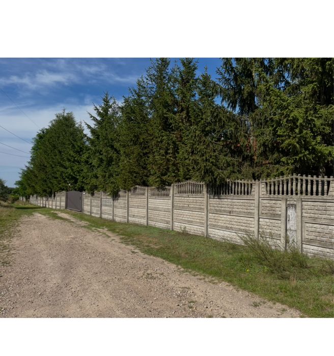 Nieruchomość pod agro lub usługi duży ogród