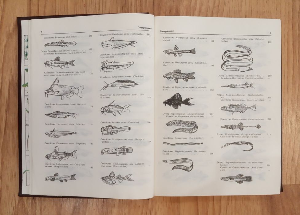 Декоративное рыбоводство. Кочетов А.М.