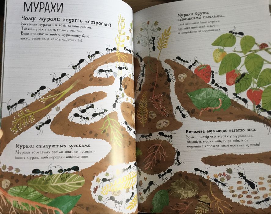Велика книжка про комах / Книга про малих істот