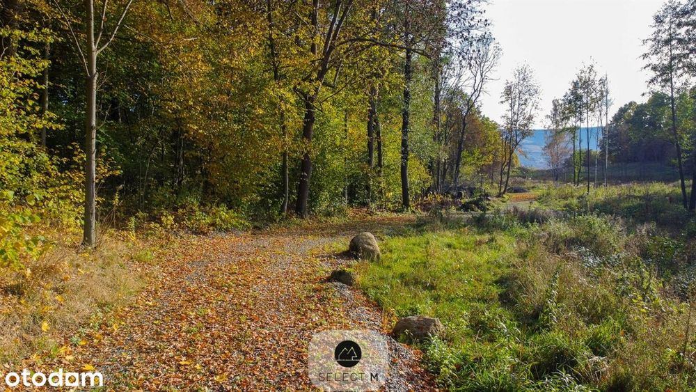 Działka w Bukowcu pod zabudowę turystyczną