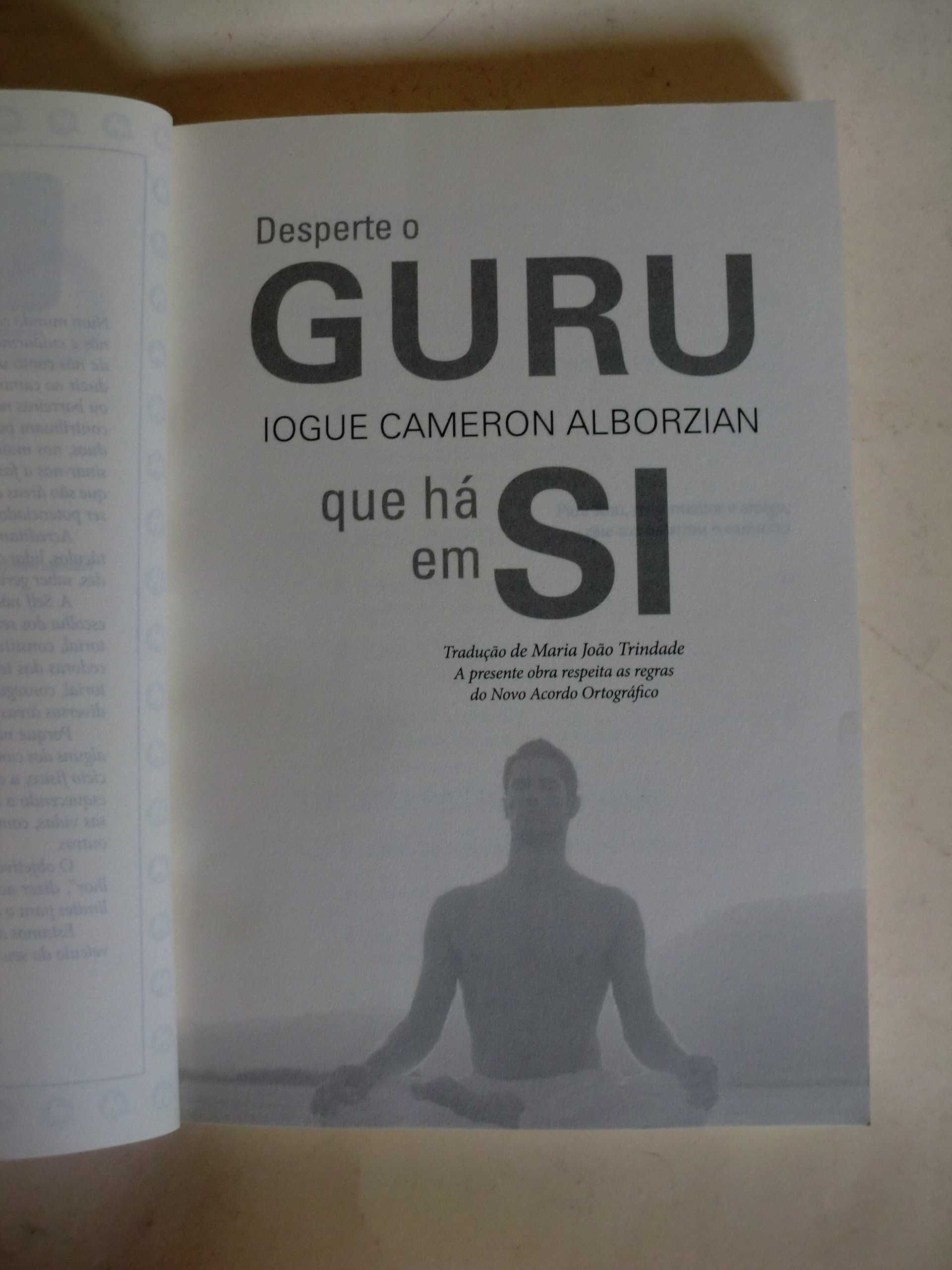 Desperte o Guru que Há em Si
de Yogi Cameron Alborzian