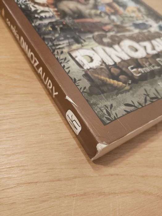 Książki dla dzieci o dinozaurach dino dinozaury dinozaur ksiazeczka