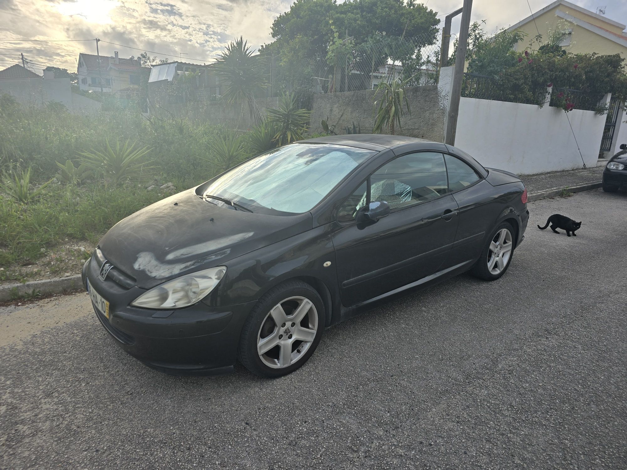 Peugeot 307 cc...