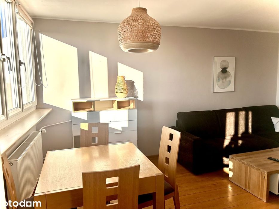 Biskupin, 3 pok. Wysoki standard