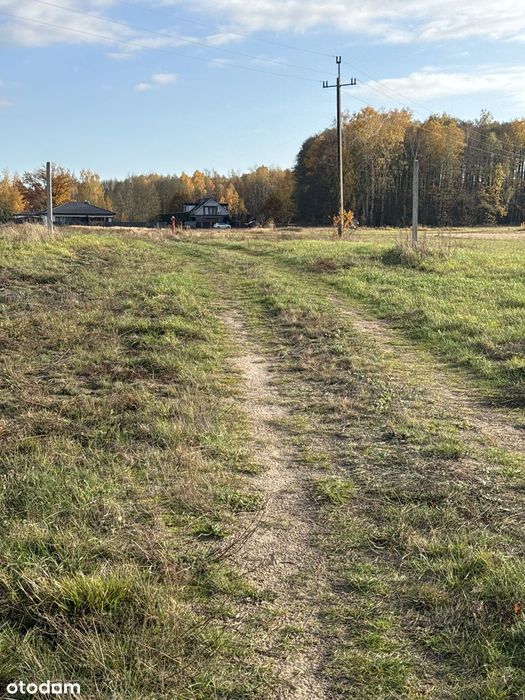 Blisko lasu  w sąsiedztwie nowe domy