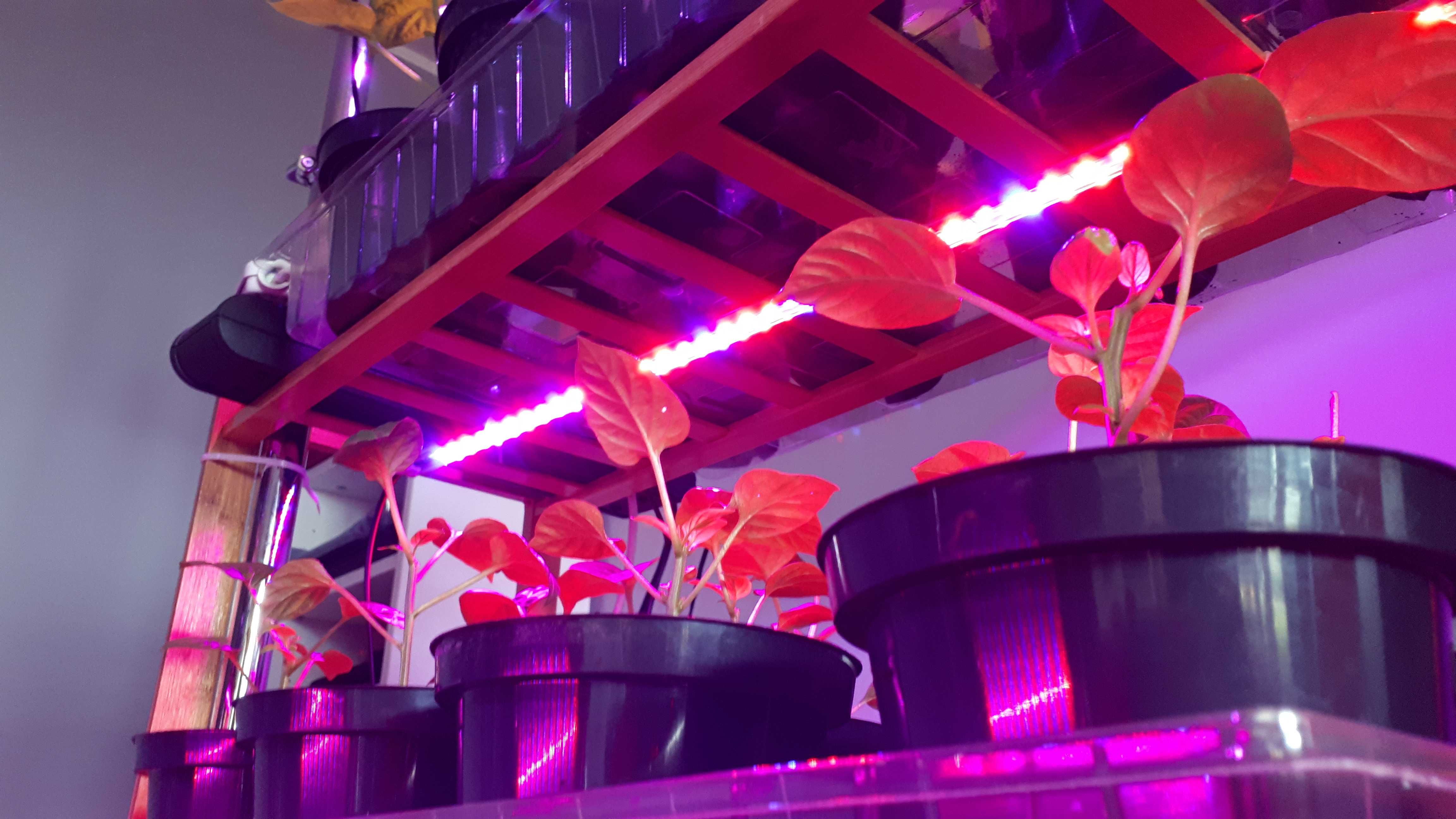 listwa LED Zestaw GROW do uprawy roślin MAXIM 180 2 komplety