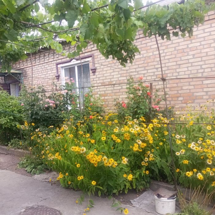 Сдам дом село Макове -10км от Кропывныцького.