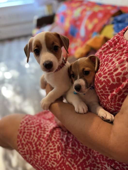 Счастье в Ваших руках