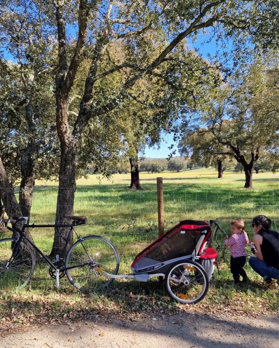 Chariot Tule Cougar 1