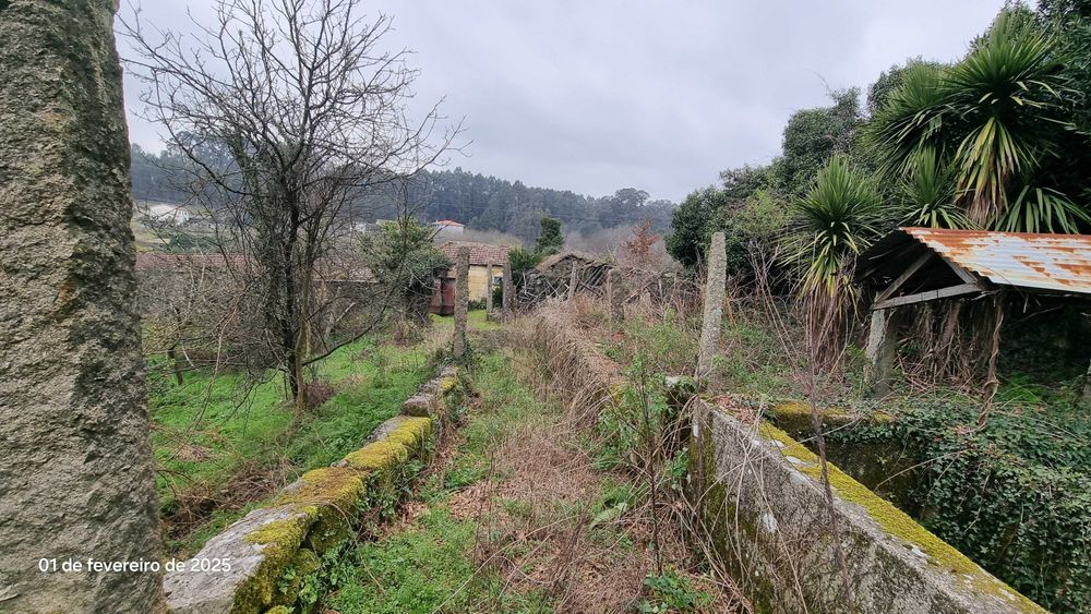 Quinta para restaurar 3.000m a 3km praia fluvial Cabeça Santa Penafiel