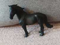 Koń fryzyjski collecta