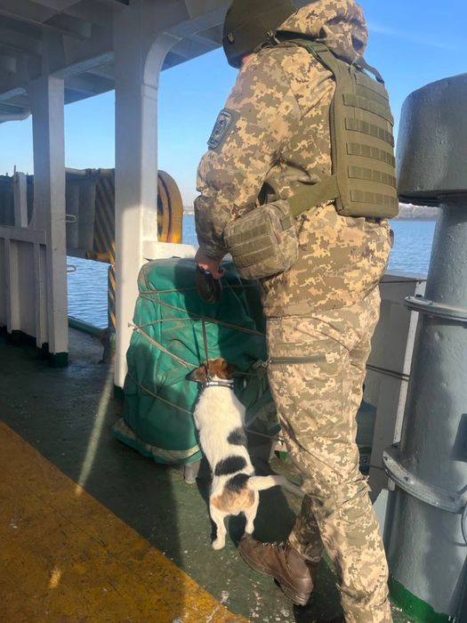 служба в порту Південний, прикордонники