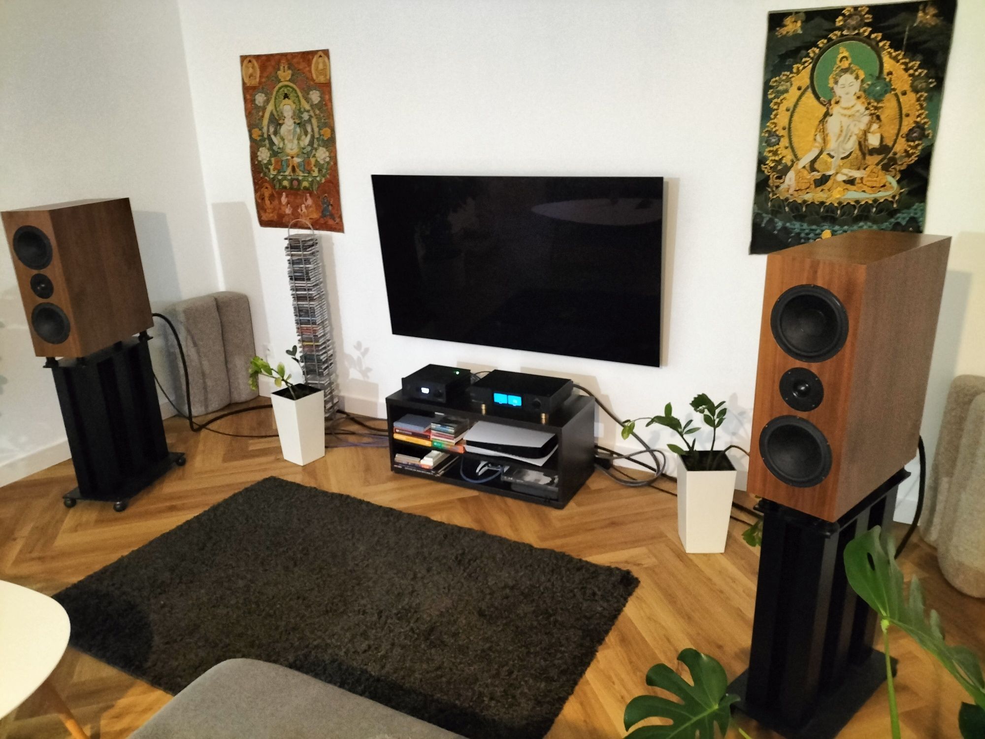 Sveda Audio Blipo Home (Fornir Orzech) OKAZJA!!!