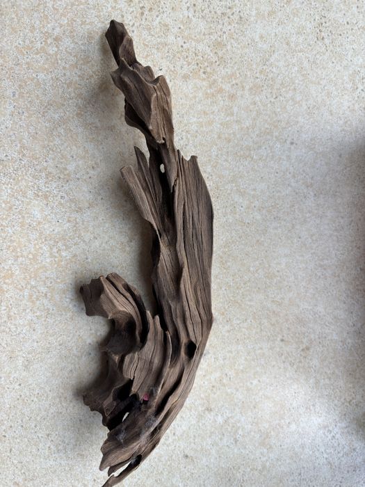 Akwarium dla bojownika