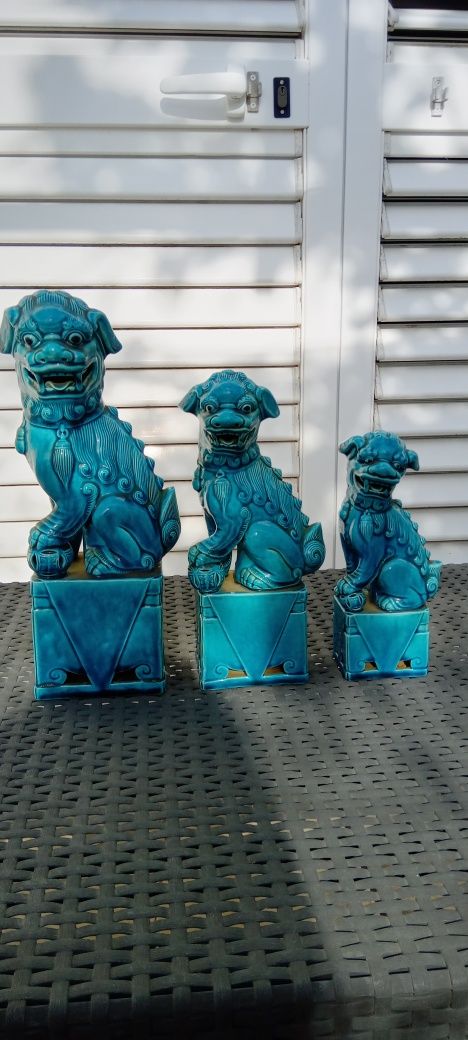 Cães foo chinese