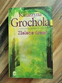 Książka "Zielone drzwi" K. GROCHOLA