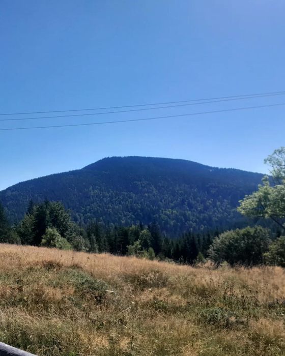 Земельна ділянка 1,86 га під будівництво та с/г / в Яблуниці