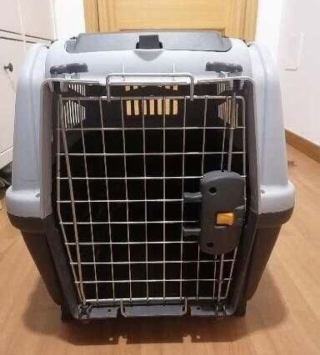 Transportadora nova Skudo